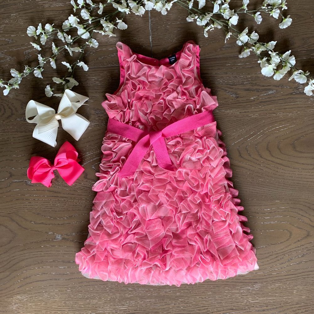 Baby Gap Toddler Pink Ruffle Dress